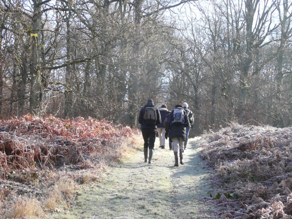 P1280453 [Résolution de l'écran]